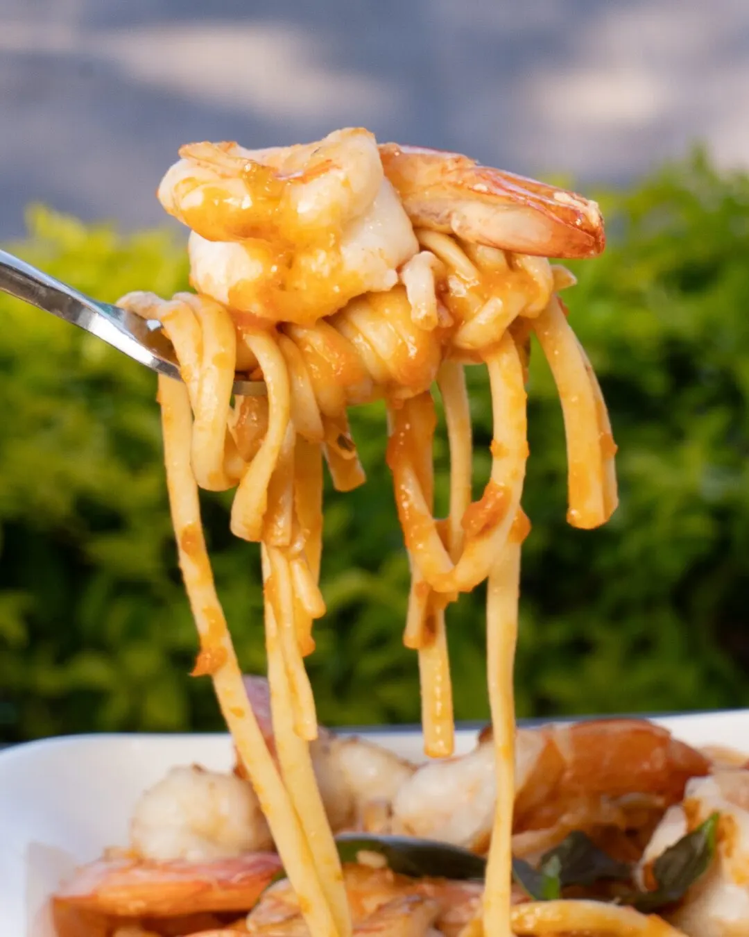 A fork lifting noodles with shrimp, with green plants behind.