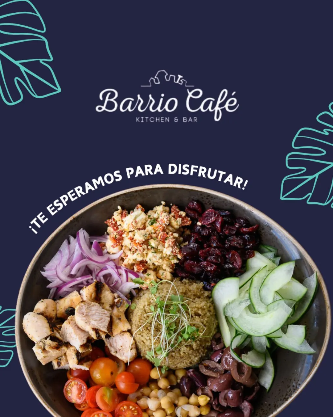 Pieza de Barrio Café Kitchen & Bar con el texto ¡Te esperamos para disfrutar! y un bowl de pollo, quinoa y verduras, sobre fondo azul marino con hojas turquesa.